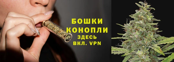 трава Аркадак