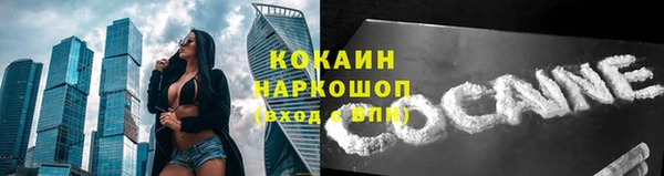 трава Аркадак