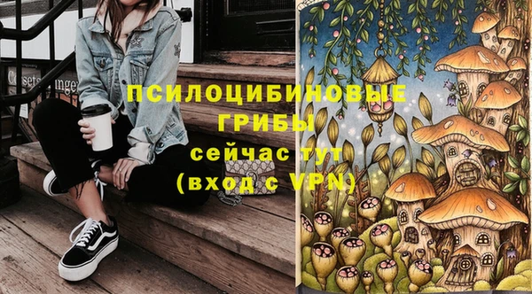 амф Арсеньев
